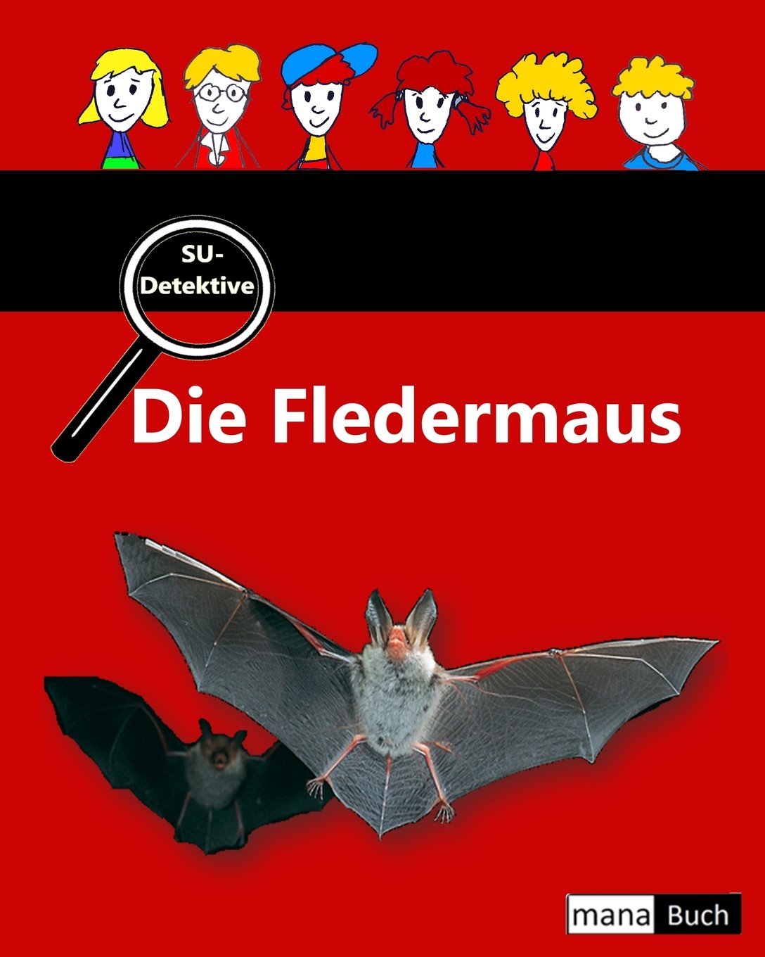 SU-Detektive: Die Fledermaus Mathematics