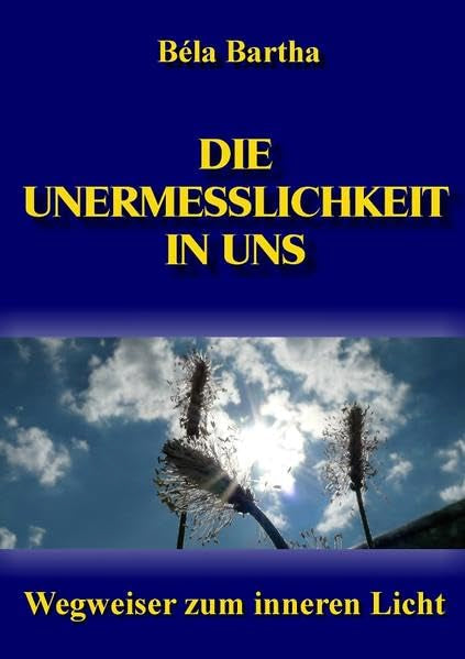 Die Unermesslichkeit in uns: Wegweiser zum inneren Licht Medicine