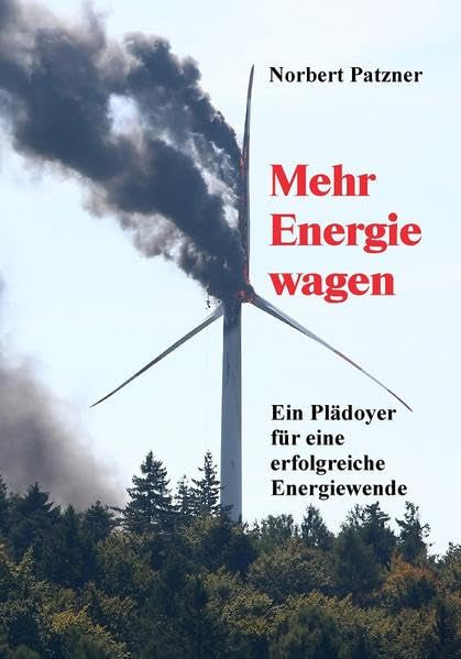 Mehr Energie wagen: Ein Plädoyer für eine erfolgreiche Energiewende book