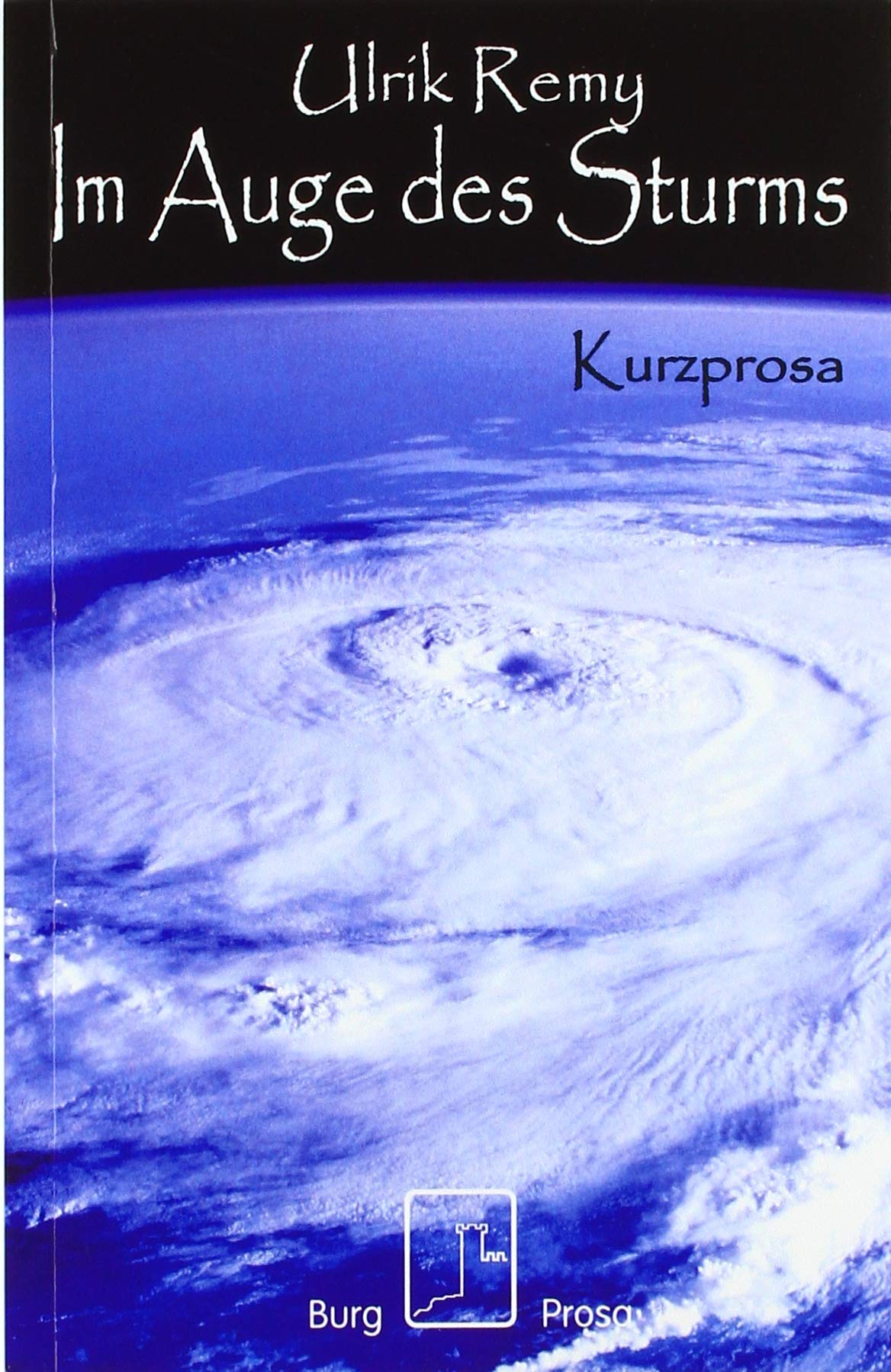 Im Auge des Sturms: Kurzprosa Contemporary literature