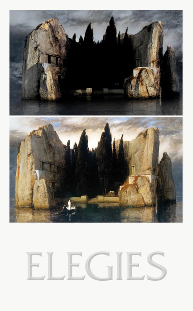 Elegies: Laments for an architectural project Architecture