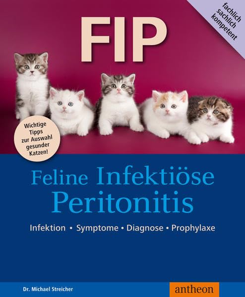 FIP  Feline Infektiöse Peritonitis Pets
