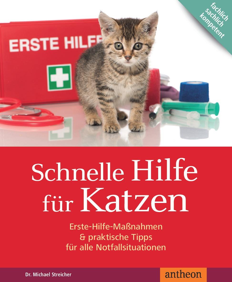 Schnelle Hilfe für Katzen book