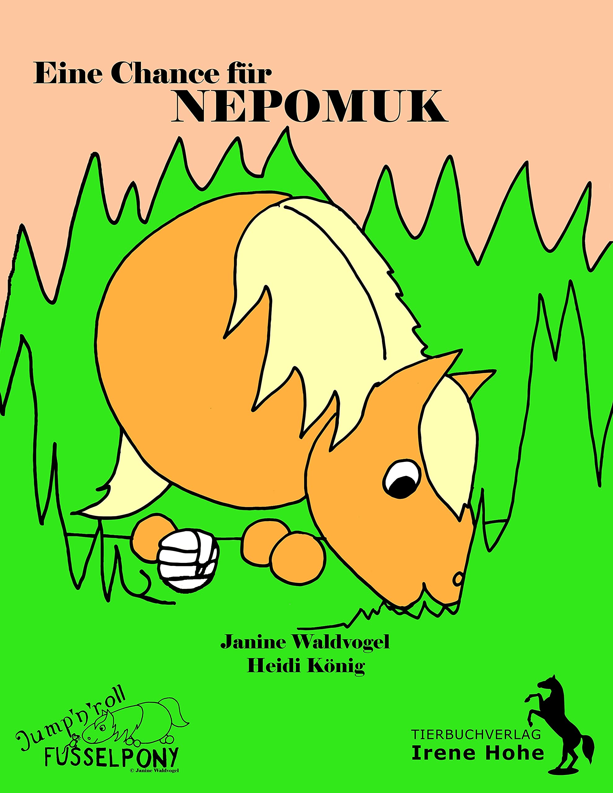 Eine zweite Chance für Nepomuk Contemporary literature
