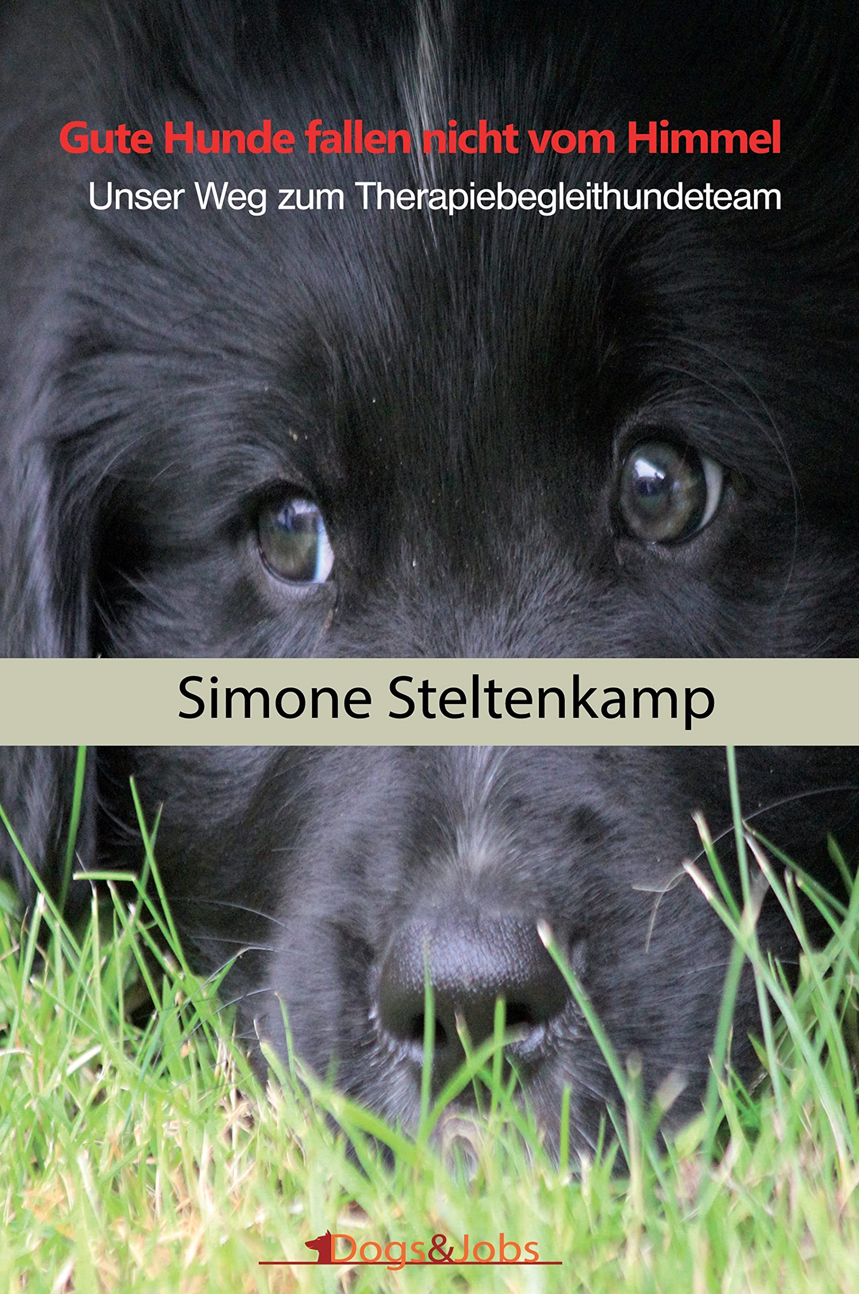 Gute Hunde fallen nicht vom Himmel: Unser Weg zum Therapiebegleithundeteam Pets