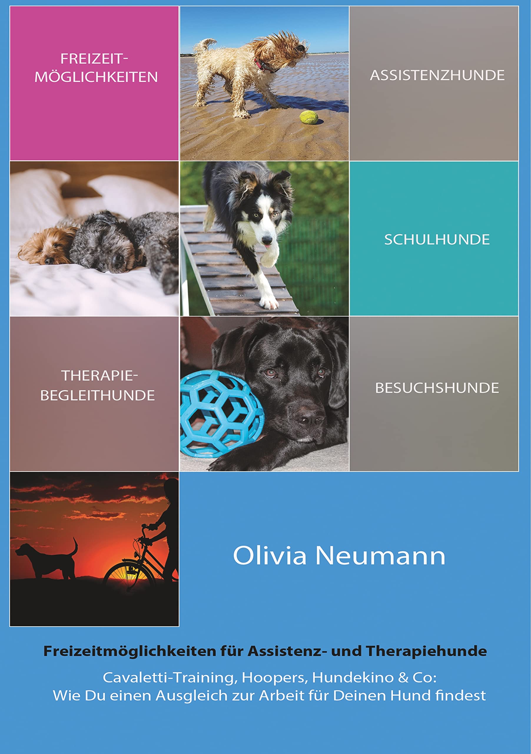 Freizeitmöglichkeiten für Assistenz- und Therapiehunde: Cavaletti-Training, Hoopers, Hundekino&Co:Wie Du einen Ausgleich zur Arbeit für Deinen Hund findest Pets