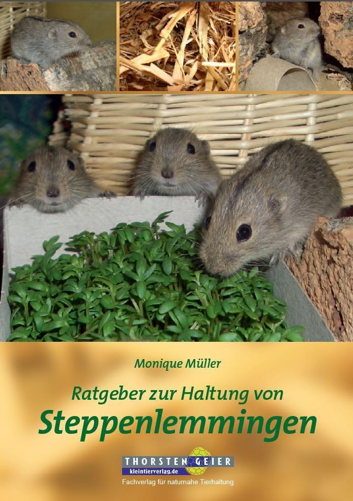 Ratgeber zur Haltung von Steppenlemmingen Pets