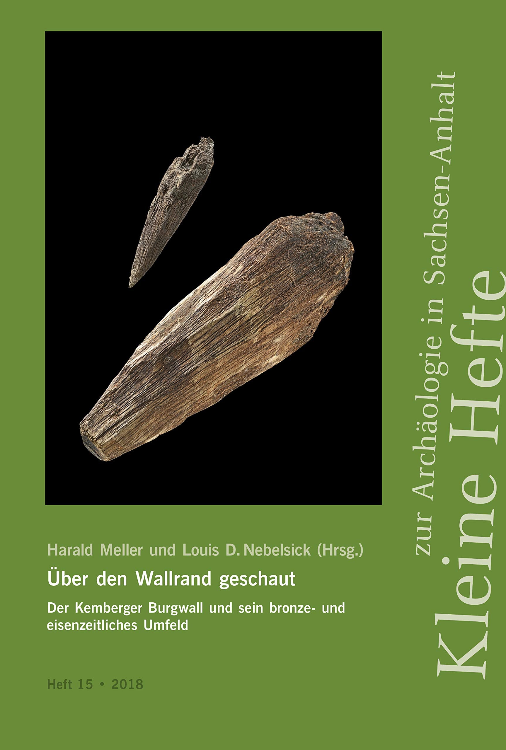 Über den Wallrand geschaut. Der Kemberger Burgwall und sein bronze- und eisenzeitliches Umfeld (Kleine Hefte zur Archäologie in Sachsen-Anhalt 15) Natural Sciences