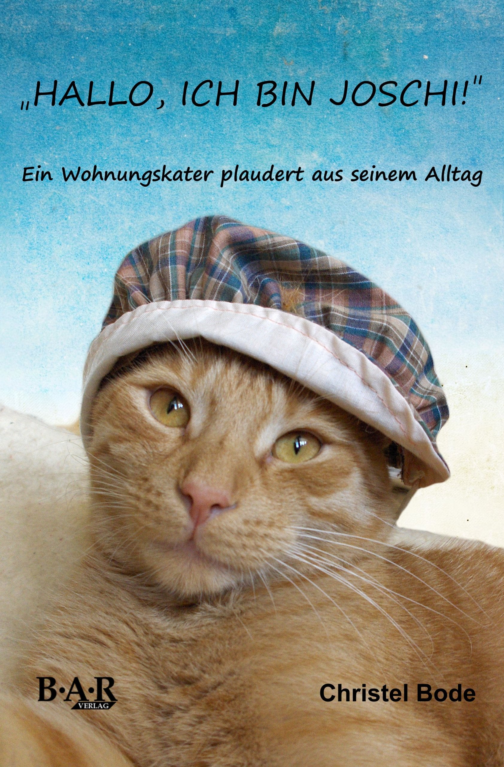 Hallo. Ich bin Joschi: Katzengeschichten Books about Pets