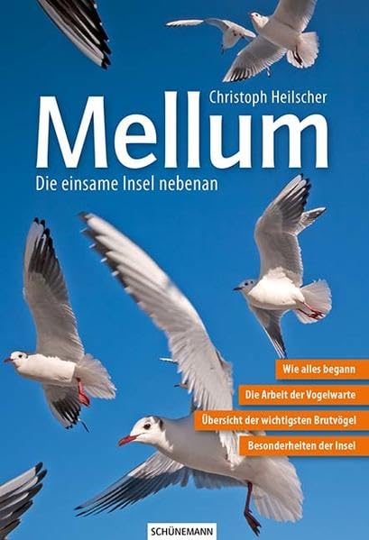 Mellum: Die einsame Insel nebenan Leisure, Home & Garden