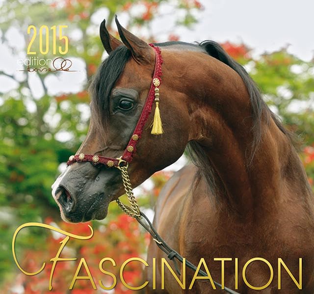 Faszination 2015 Kalender: Arabische Pferde Calendars