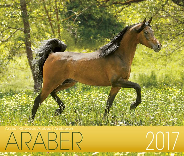 Edle Araber 2017: Arabische Pferde Photography