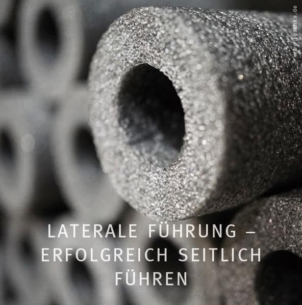 Laterale Führung - Erfolgreich seitlich führen Business, Finance & Career