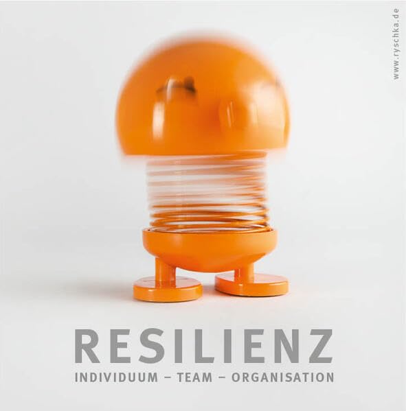 Resilienz: Individuum - Team - Organisation Books