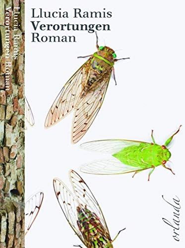 Verortungen: Roman (welt bewegt) Contemporary literature