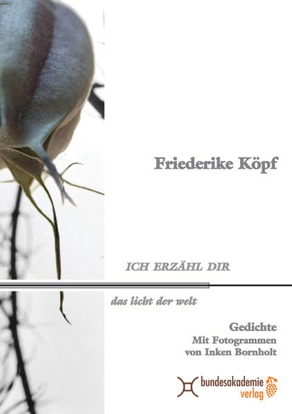 Product Image: Ich erzähl dir das Licht der Welt