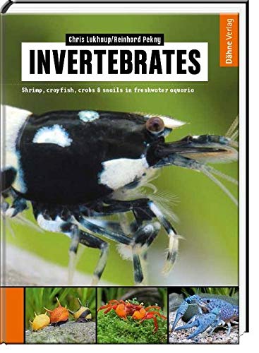 Invertebrates: Shrimp, crayfish, crabs & snails in freshwater aquaria Pets