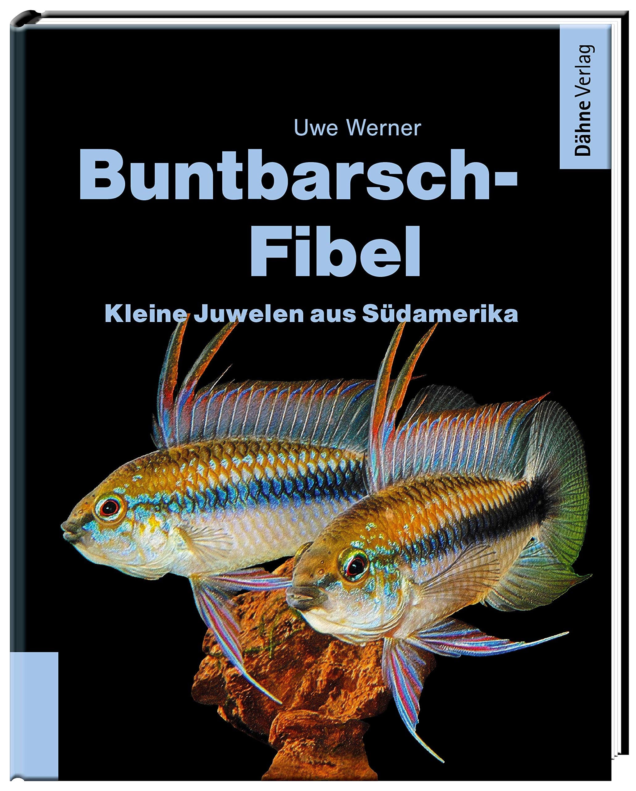 Buntbarsch-Fibel Südamerika Film, Art & Culture