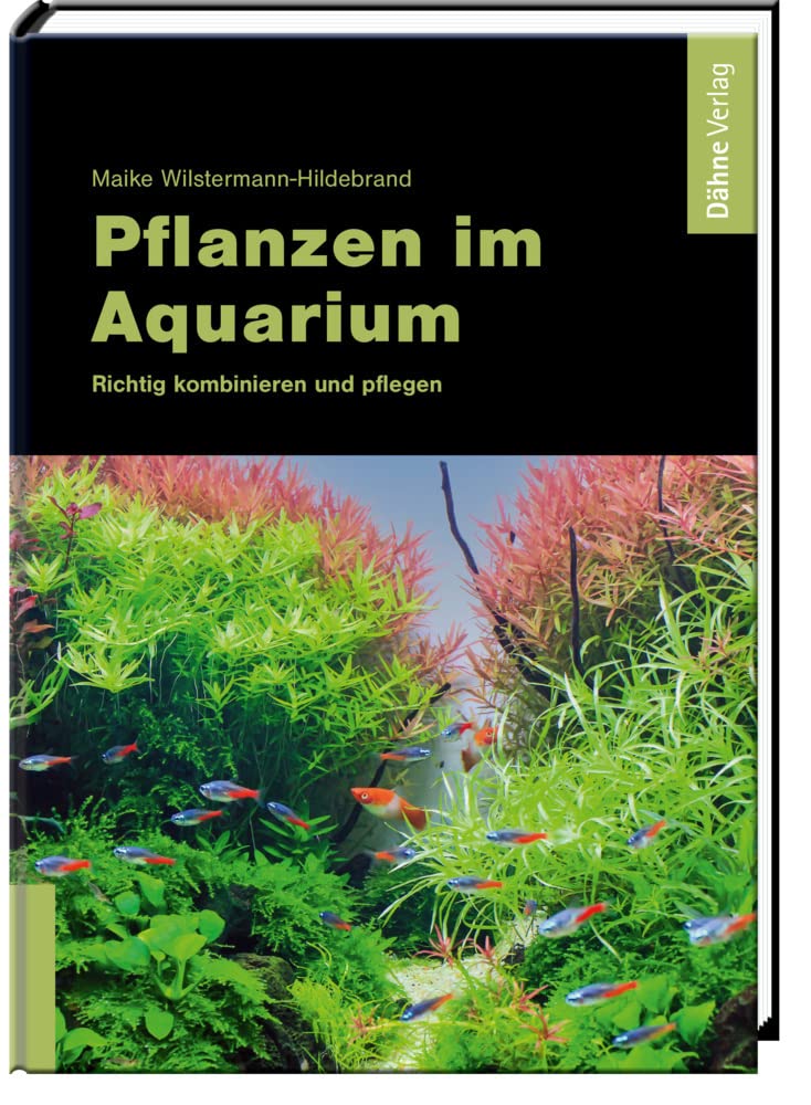 Pflanzen im Aquarium Film, Art & Culture