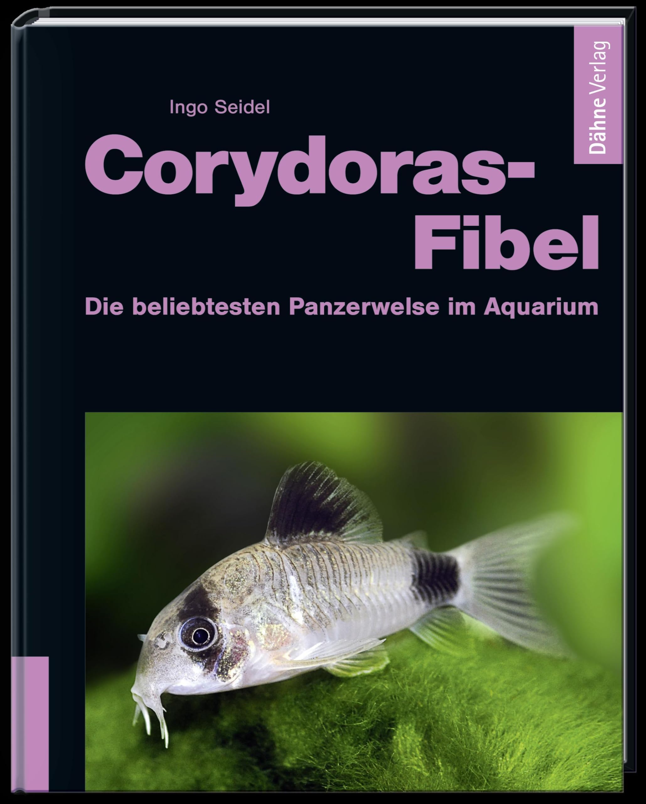 Corydoras-Fibel: Die beliebtesten Panzerwelse im Aquarium Pets