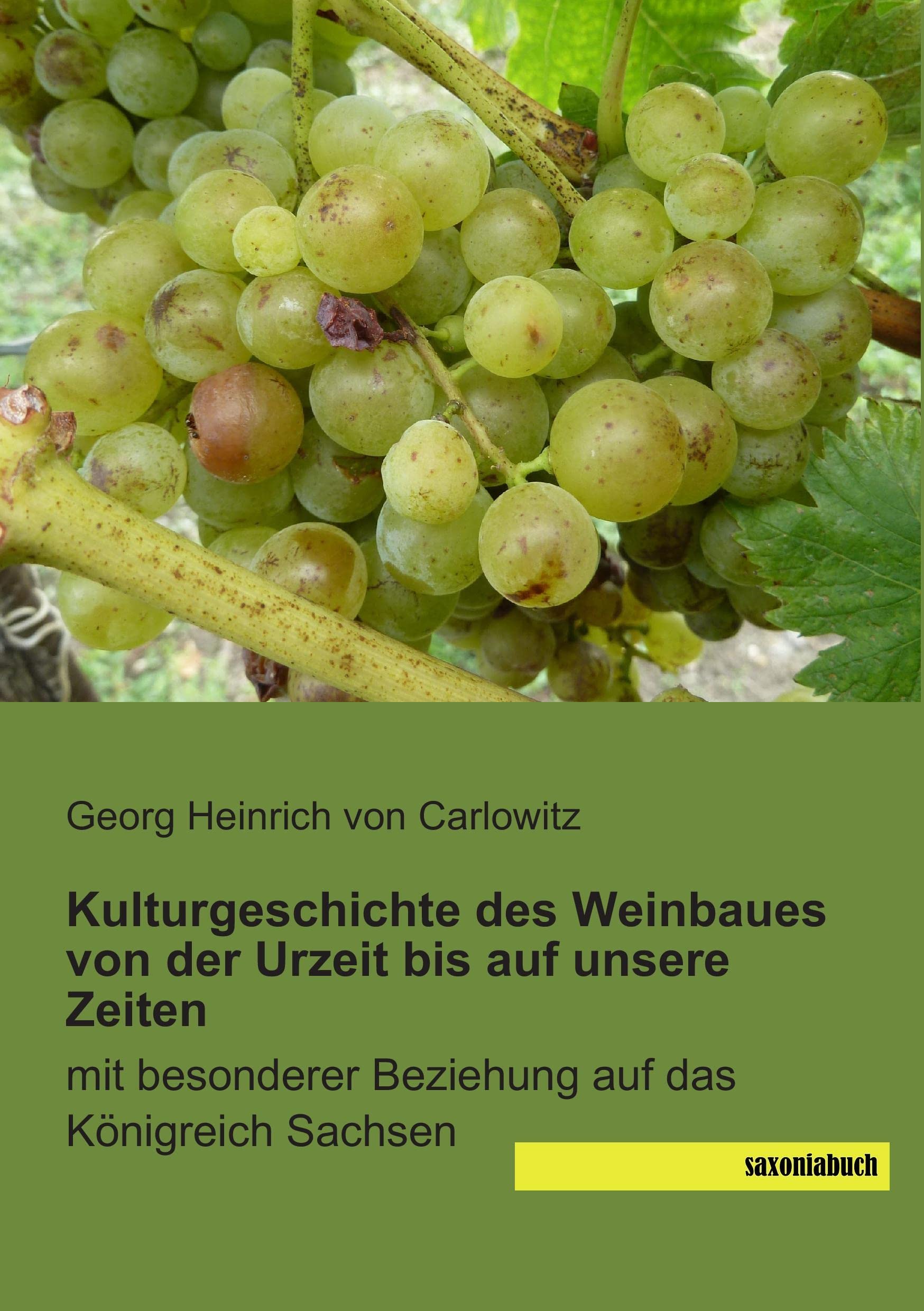 Kulturgeschichte des Weinbaues von der Urzeit bis auf unsere Zeiten: mit besonderer Beziehung auf das Koenigreich Sachsen: mit besonderer Beziehung auf das Königreich Sachsen Mathematics