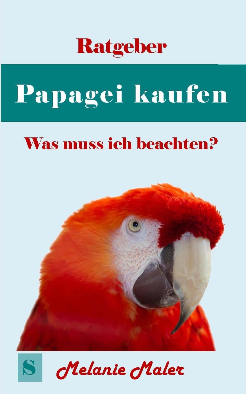 Ratgeber Papagei kaufen: Was ist zu beachten? Pets