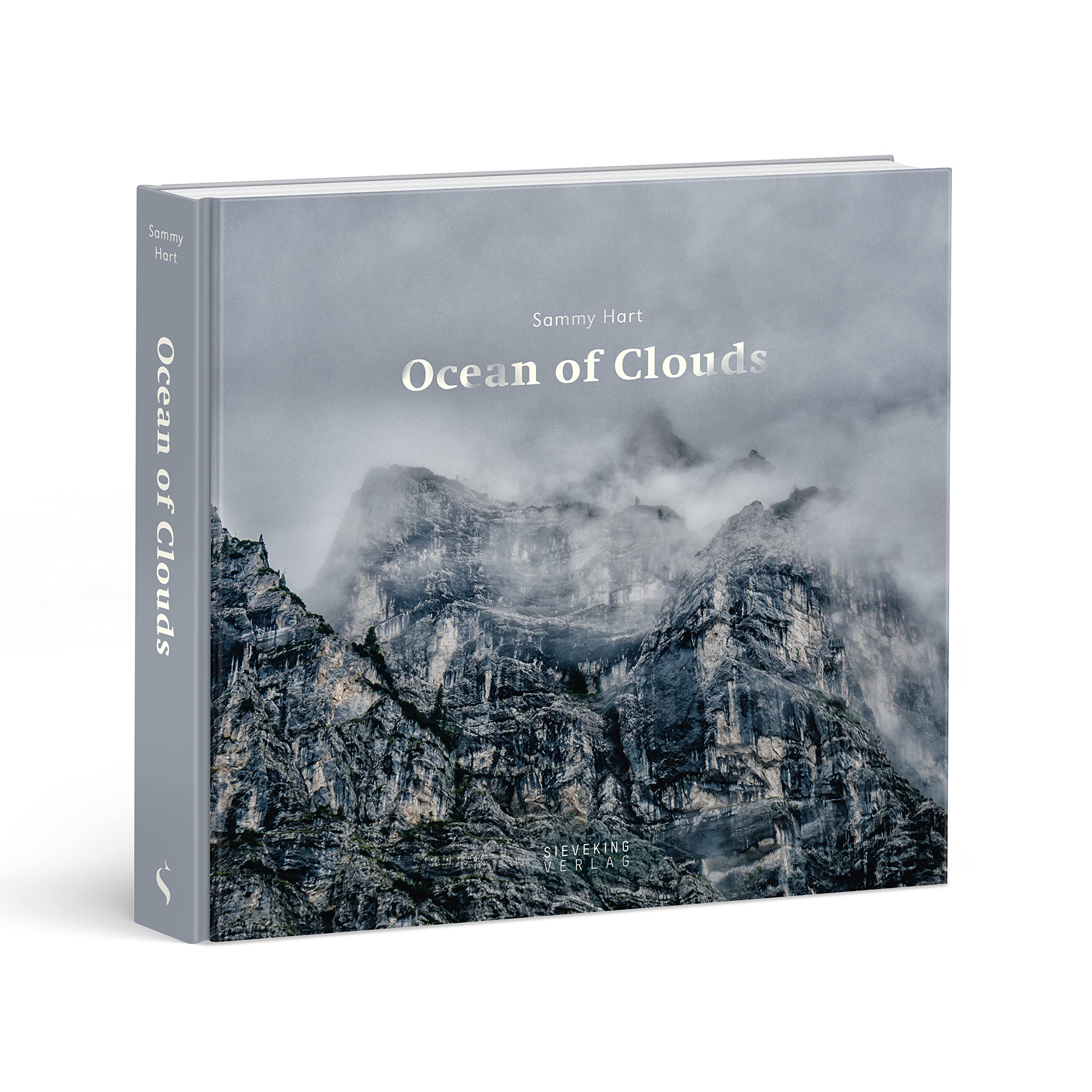 Ocean of Clouds Photography