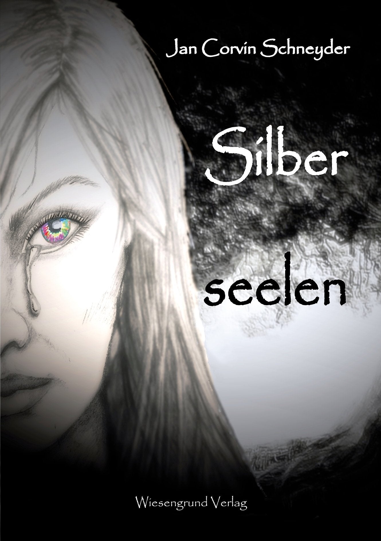 Silberseelen Contemporary literature Books
