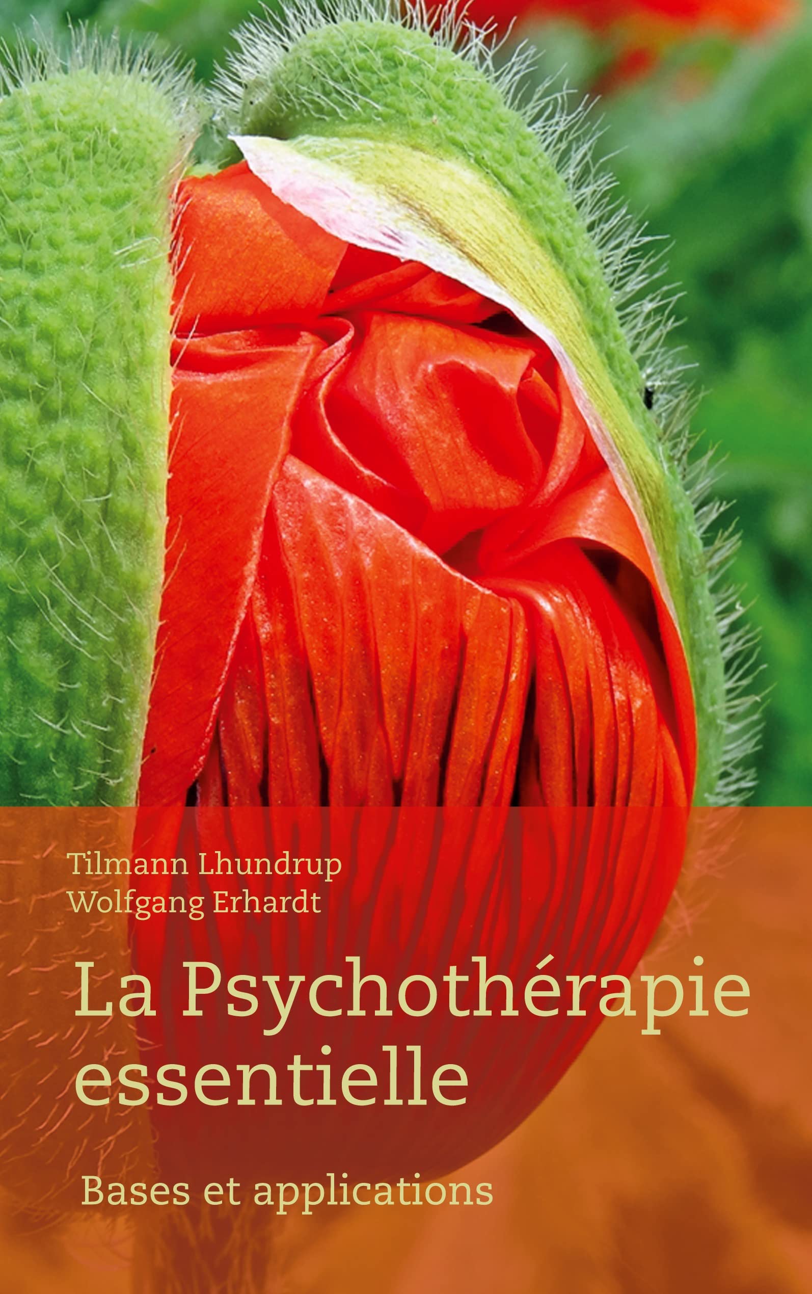 La Psychothérapie Essentielle: Bases et applications Psychology