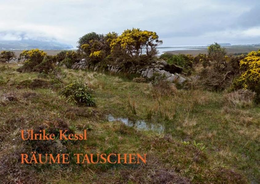 Räume tauschen. Herausgegeben von der Heinrich-Böll-Stiftung NRW und Ulrike Kessl Film, Art & Culture