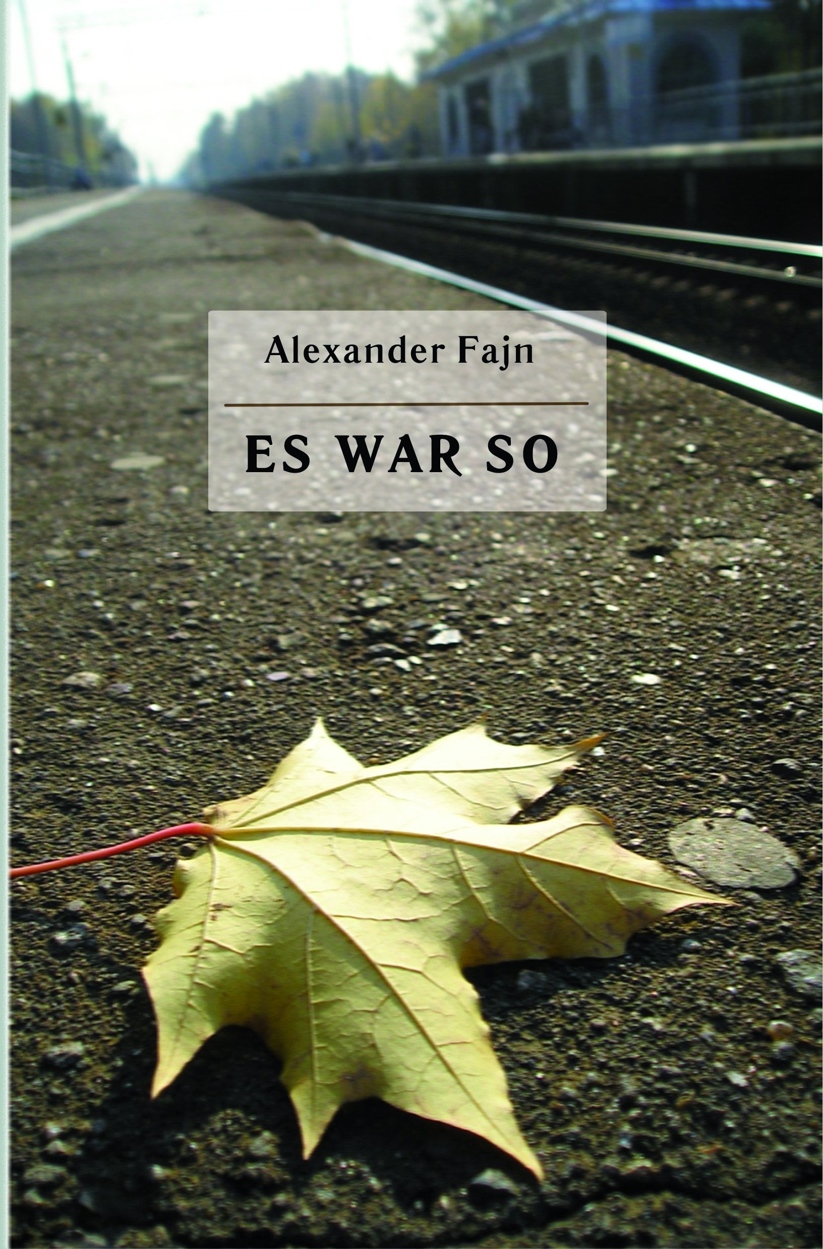 Es war so: Erzählungen Contemporary literature