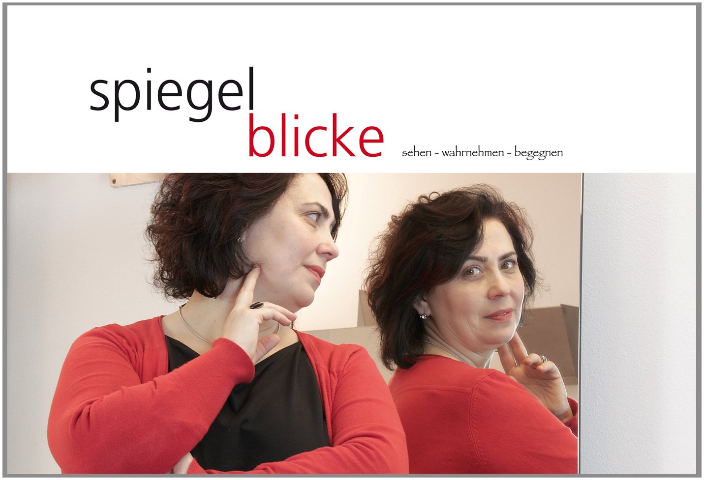 Spiegelblicke: sehen-wahrnehmen-begegnen Essays & Short Stories