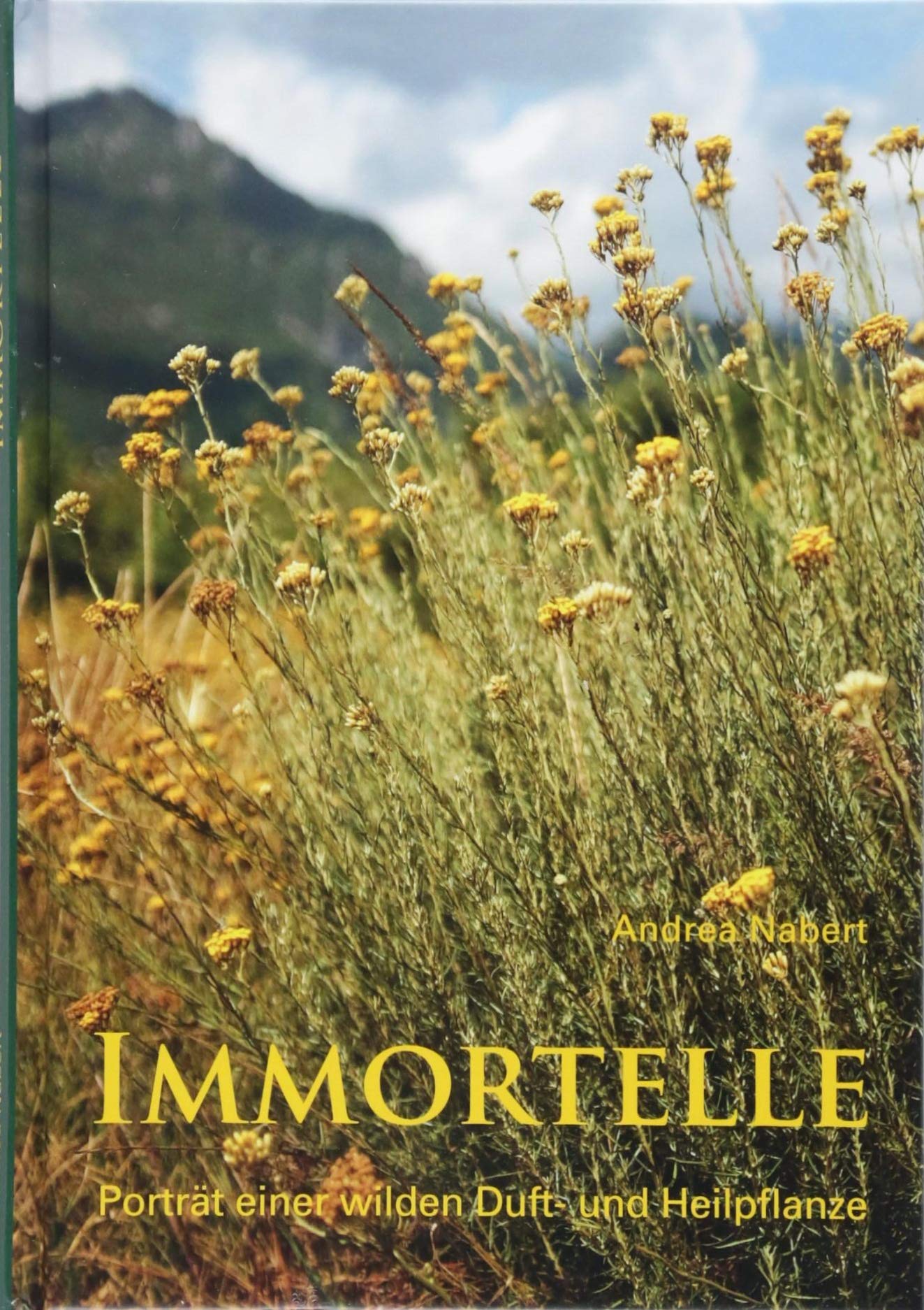 Immortelle Architecture