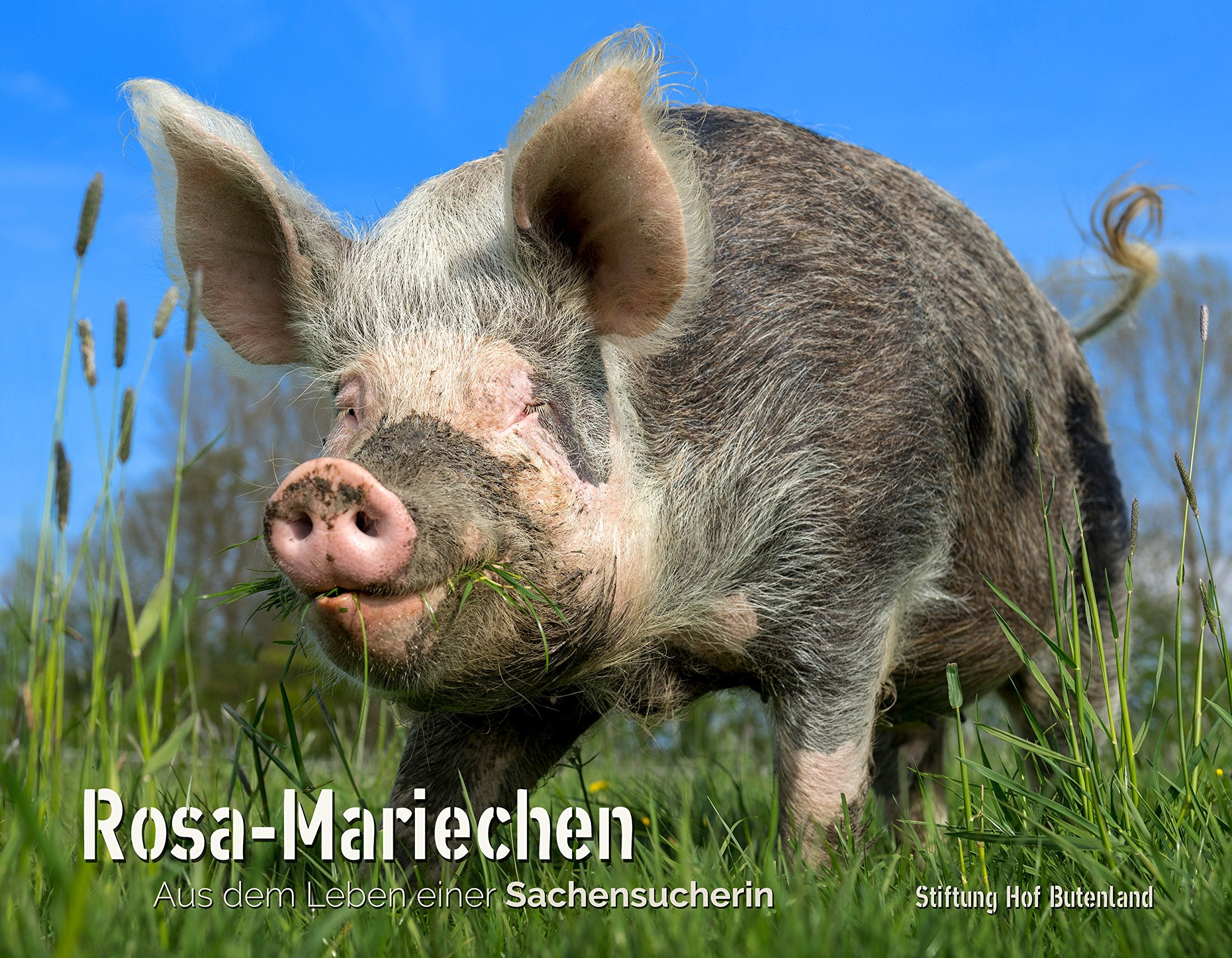 Rosa-Mariechen: Aus dem Leben einer Sachensucherin Photography