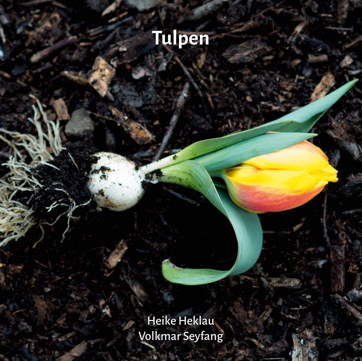 Tulpen-Kultur in Vergangenheit und Gegenwart: Mit den Ergebnissen eines fünfjährigen Dauerversuchs zum Auswildern von Tulpen Natural Sciences