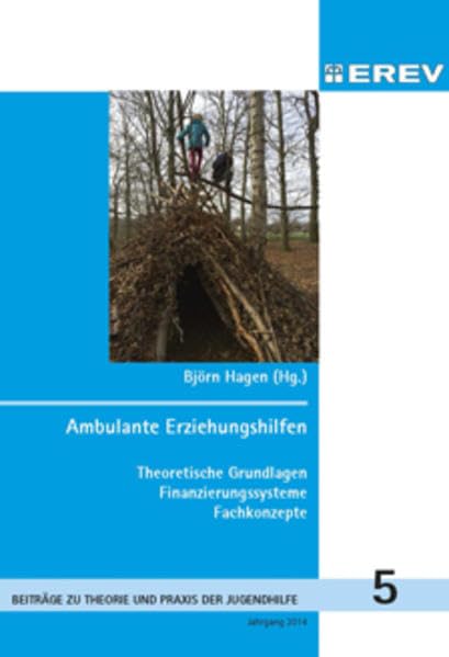 Ambulante Erziehungshilfen: Theoretische Grundlagen, Finanzierungssysteme, Fachkonzepte (Beiträge zur Theorie und Praxis der Jugendhilfe) Social Sciences