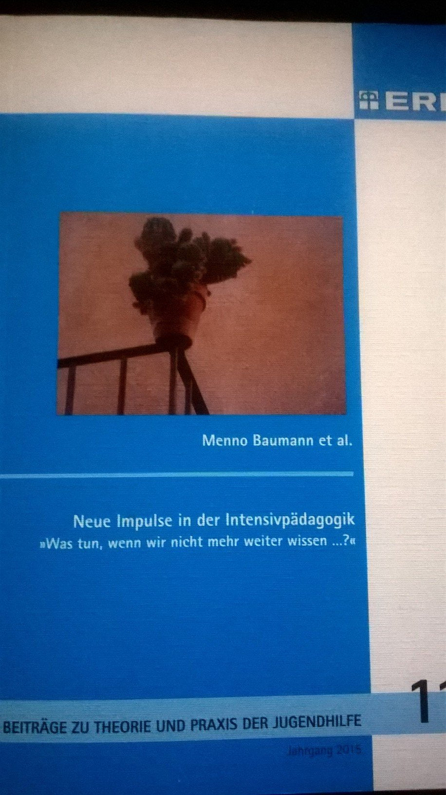 Neue Impulse in der Intensivpädagogik: Was tun, wenn wir nicht mehr weiter wissen ...? (Beiträge zur Theorie und Praxis der Jugendhilfe) Books
