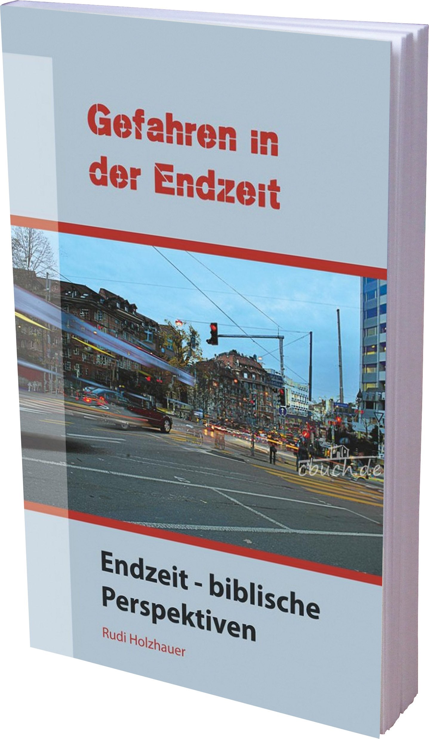 Gefahren in der Endzeit: Endzeit - biblische Perspektiven Religion & Esotericism