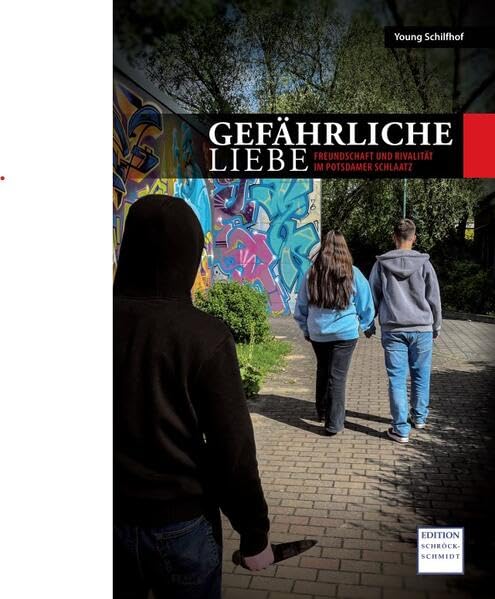 Gefährliche Liebe: Freundschaft und Rivalität im Potsdamer Schlaatz book