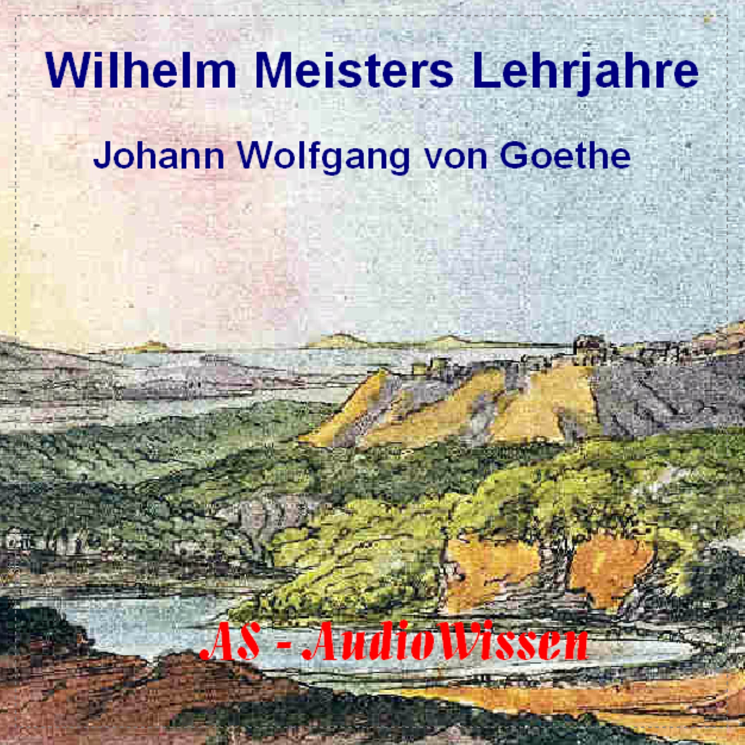 Wilhelm Meisters Lehrjahre: Bildungsroman von Johann Wolfgang von Goethe Historical Fiction