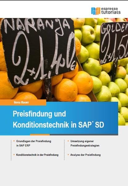 Preisfindung und Konditionstechnik in SAP SD Computer Science