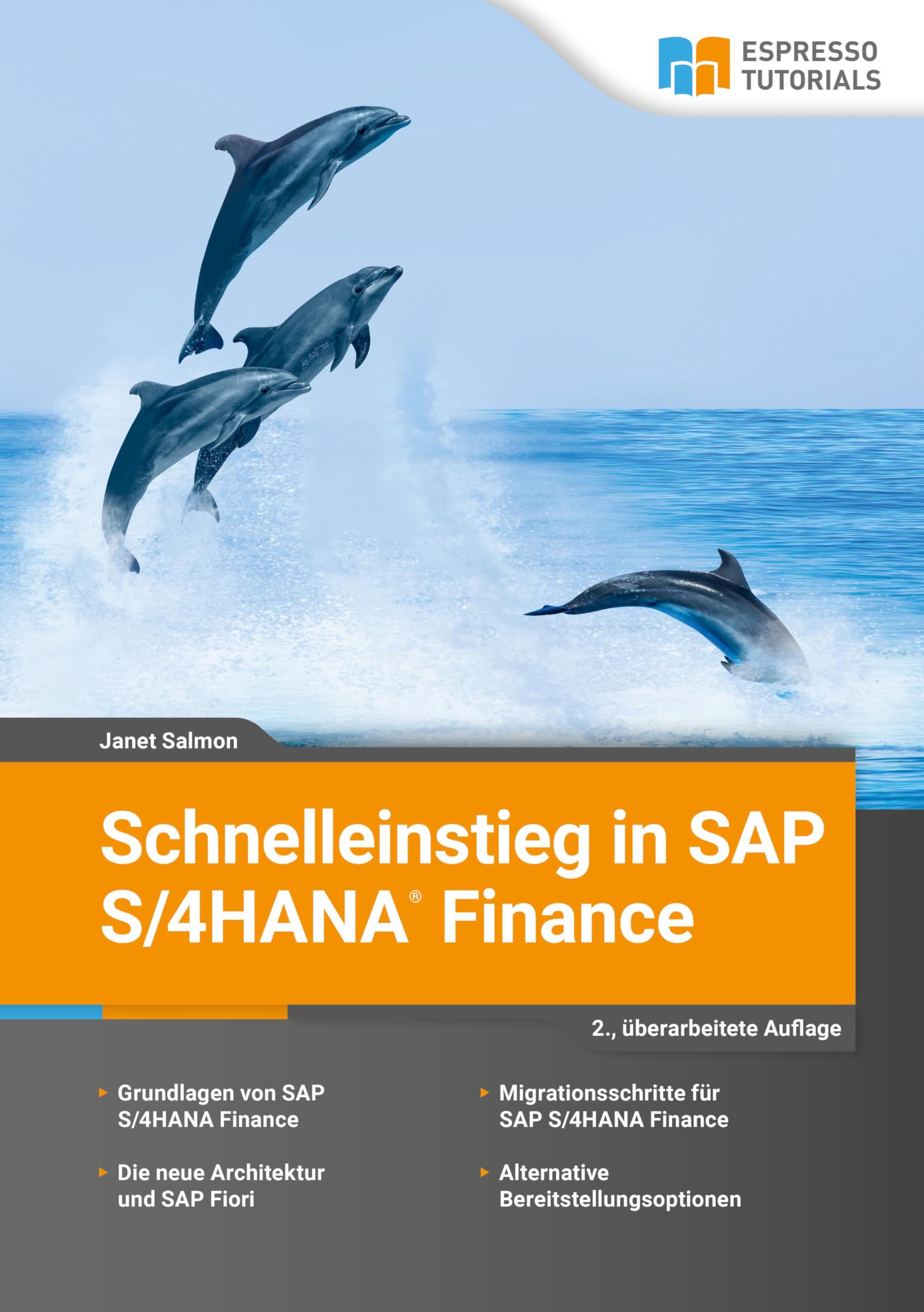 Schnelleinstieg in SAP S/4HANA Finance Computer Science