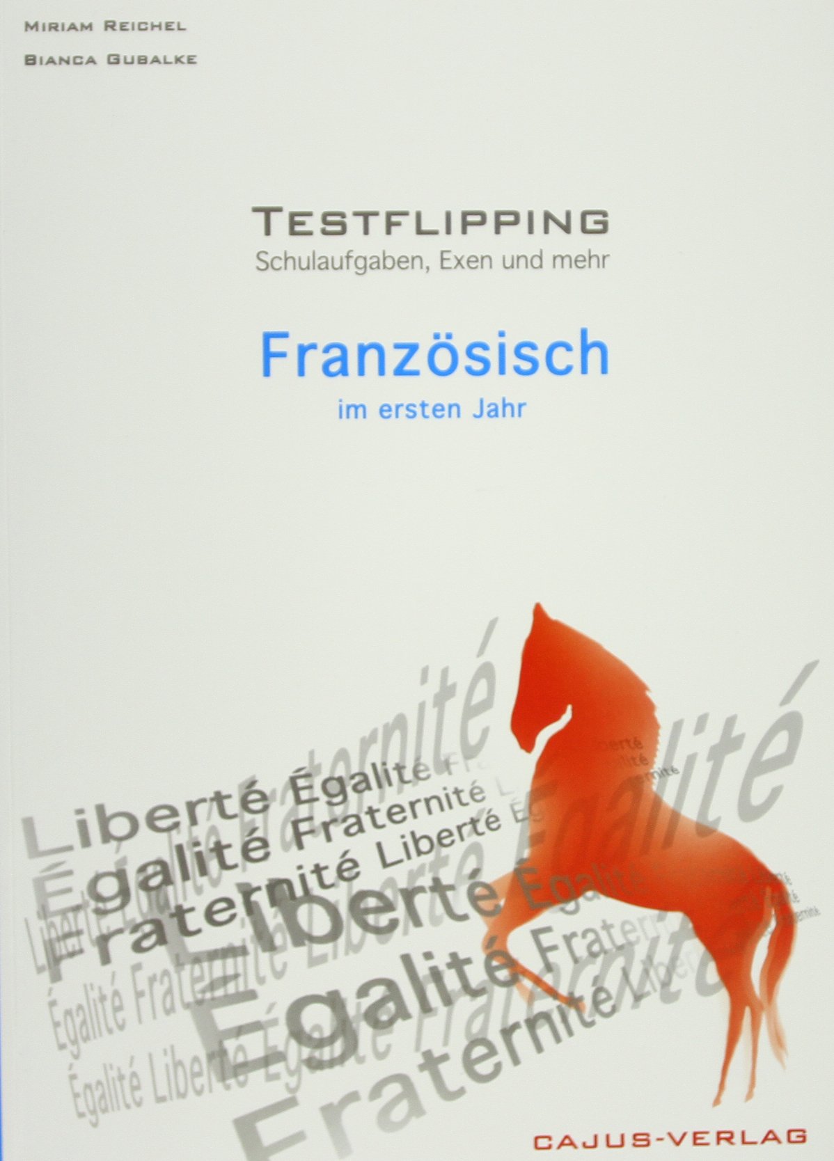 Testflipping. Französisch im ersten Jahr. Das Schulaufgabenbuch. Schulaufgaben, Exen & mehr: von der Autorin des ultimativen Probenbuchs Foreign Languages ​​& Dictionaries