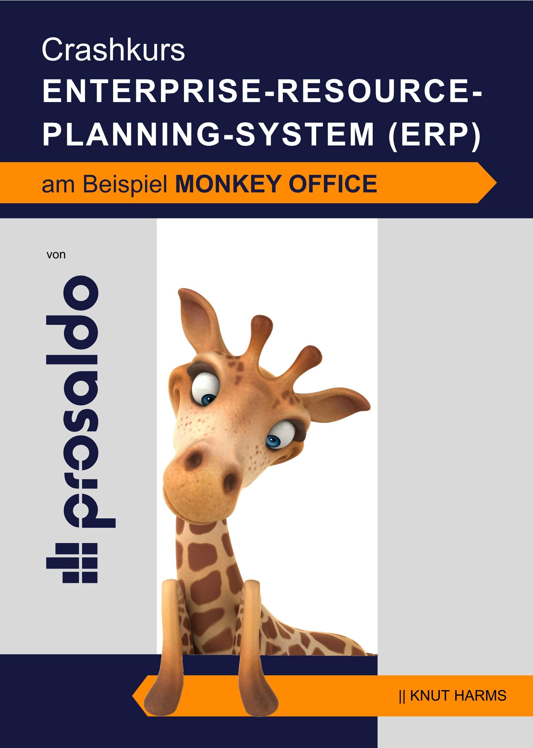 Crashkurs ERP-System: am Beispiel MonKey Office Study Guides Books
