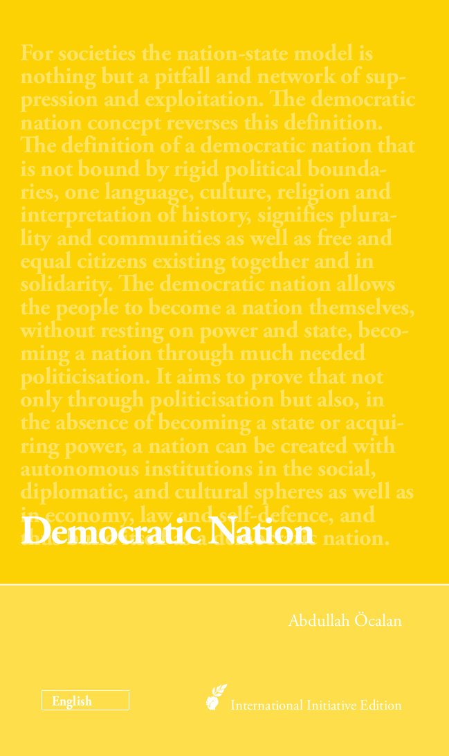 Democratic Nation book