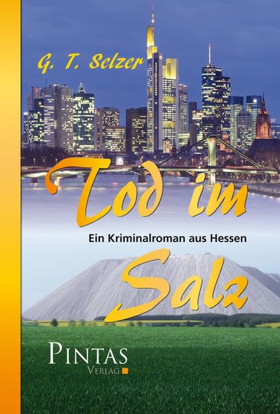 Tod im Salz: Ein Kriminalroman aus Hessen Contemporary literature