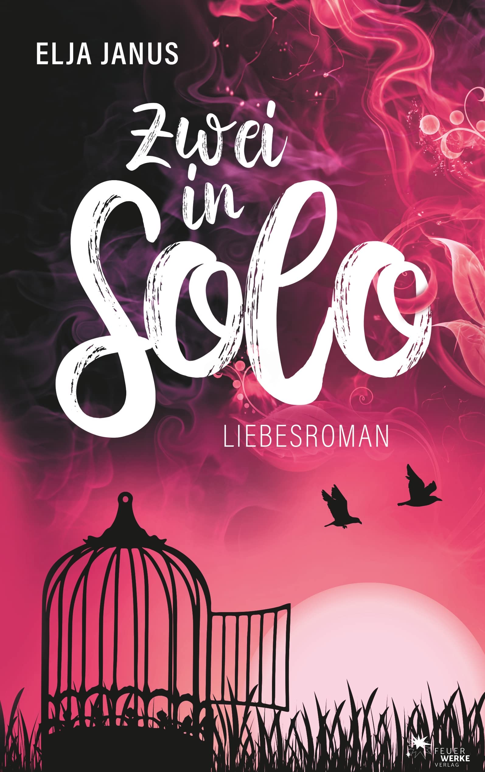 Zwei in Solo Contemporary literature Books