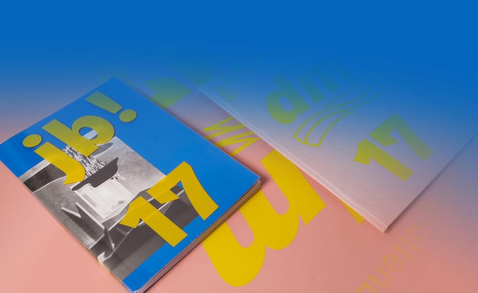 dm 17: Diplom 2017 (Jahresbericht der Hochschule für Gestaltung Offenbach am Main: Annual Report of the Academy of Art and Design Offenbach am Main) Film, Art & Culture