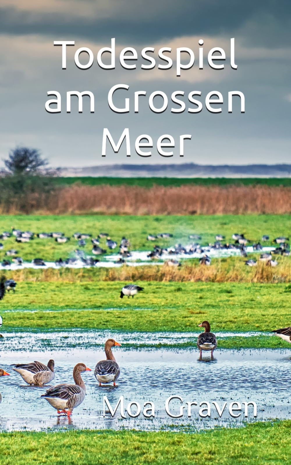 Todesspiel am Grossen Meer: Ostfrieslandkrimi: Der zweite Fall für Jan Krömer - Ostfrieslandkrimi (Jan Krömer Krimi-Reihe, Band 2) Contemporary literature Books