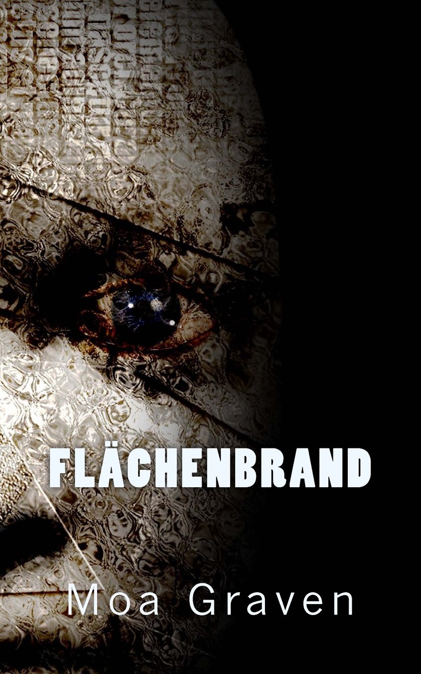 Flaechenbrand: Profiler Jan Krömer Band 5 (Jan Krömer Krimi-Reihe, Band 5) Politics & Society